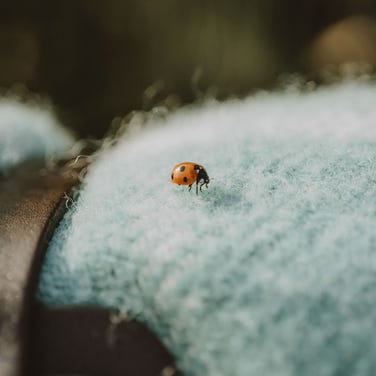 Tweedmill Polo Picnic Blanket, Light Blue