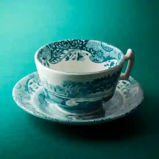 Spode Green Italian Teacup & Saucer product image