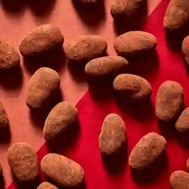 Cocoa Dusted Milk Chocolate Almonds, 380g