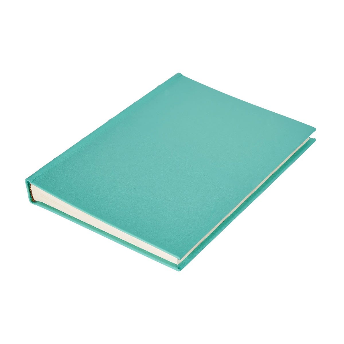 Fortnum's Leather Photograph Album, Eau de Nil