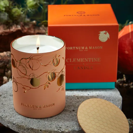 Fortnum's Four Seasons Clementine Candle, 330g product image
