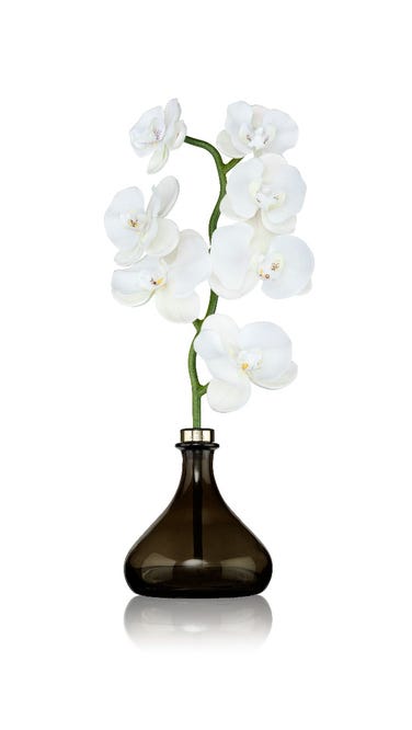Senti The Orchid Winter Wishes Diffuser, 250ml