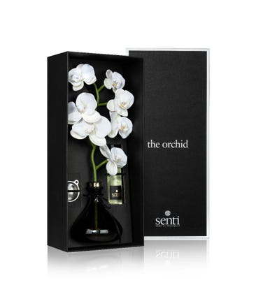Senti The Orchid Winter Wishes Diffuser, 250ml