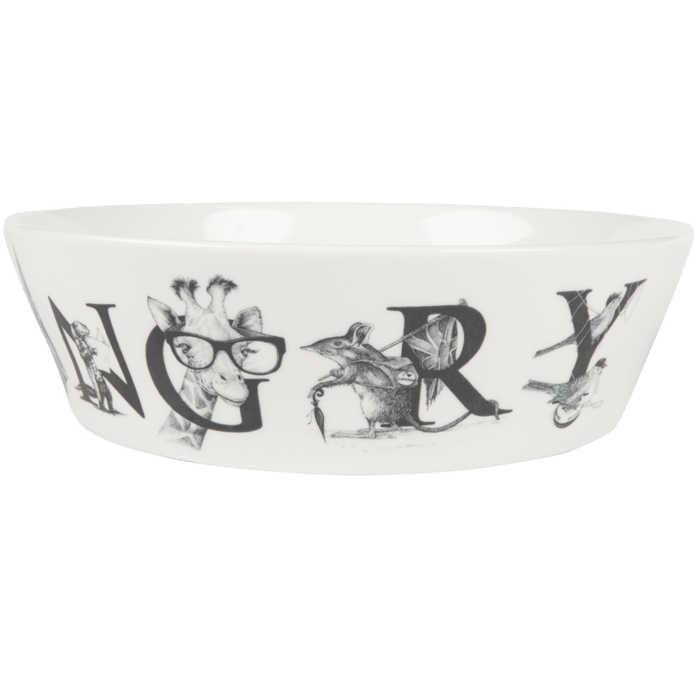 Hungry dog hot sale bowl
