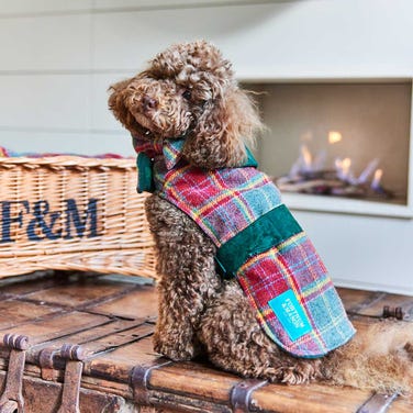 Fortnum's Tartan Dog Coat, Small
