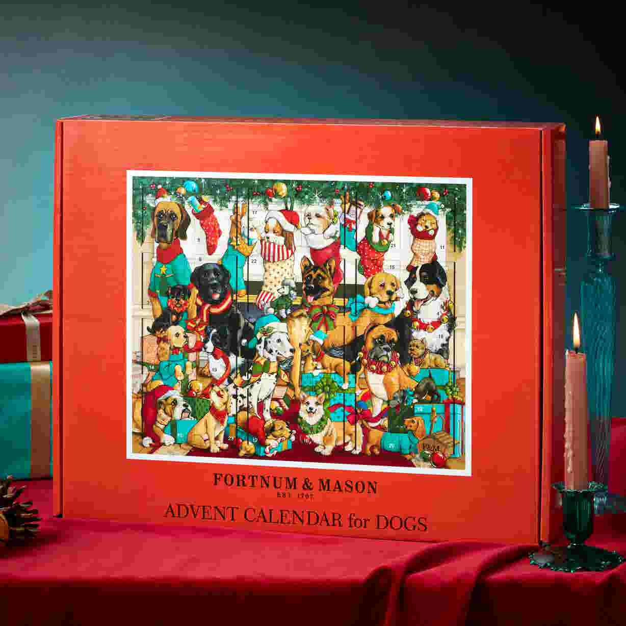 Fortnum's Dog Advent Calendar