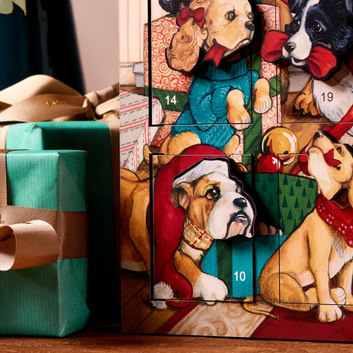 Fortnum #39 s Dog Advent Calendar