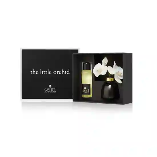 Senti Little Orchid Bergamot & Ginger Diffuser, 100ml product image