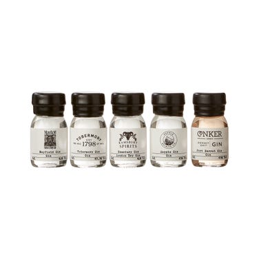 The British Craft Gin Tasting Set