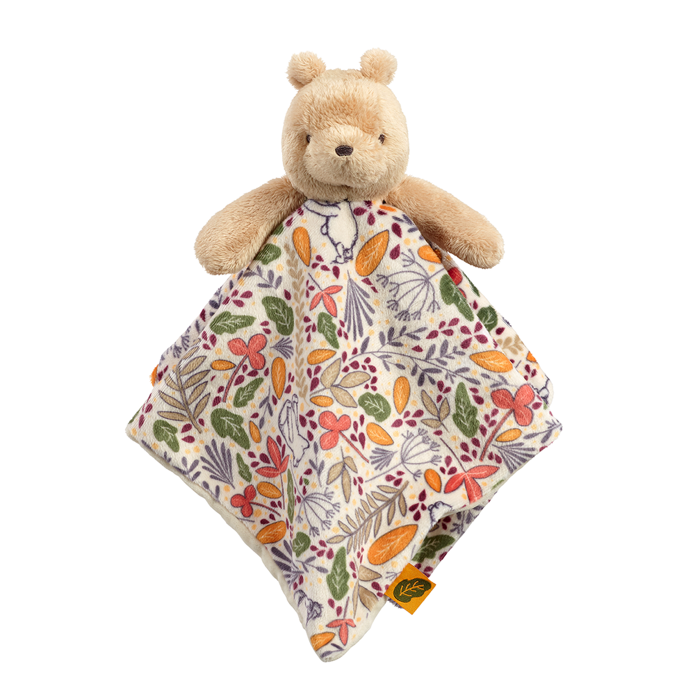 Winnie the top pooh security blanket