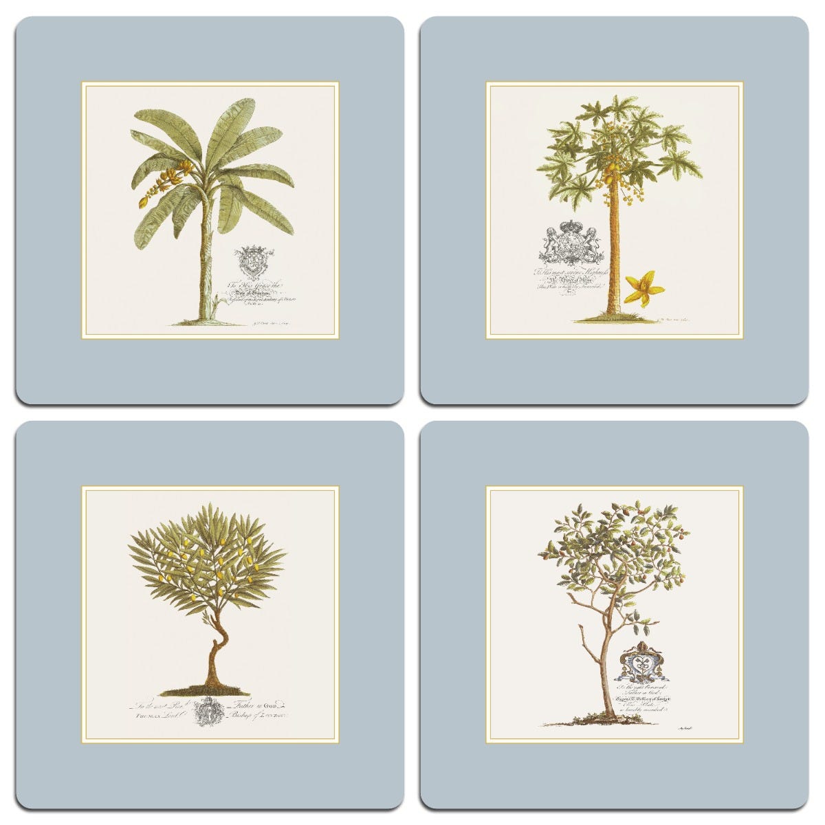 Club Matters Island Palm Table Mats, Set of 4 product image