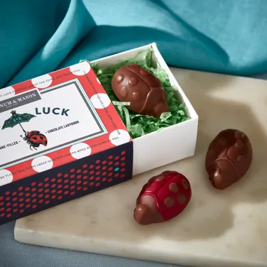 Lady Luck Chocolate Ladybird Matchbox, 33g