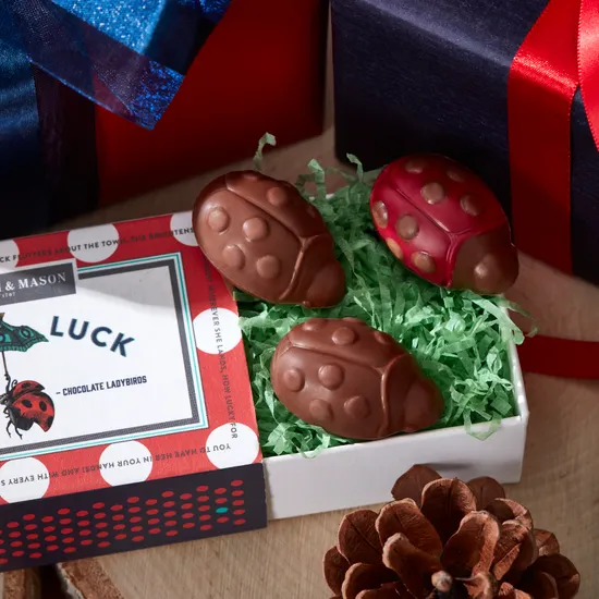 Lady Luck Chocolate Ladybird Matchbox, 33g product image