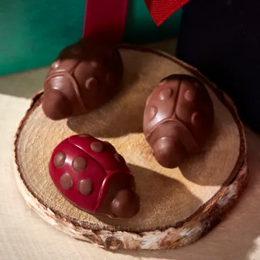 Lady Luck Chocolate Ladybird Matchbox, 33g