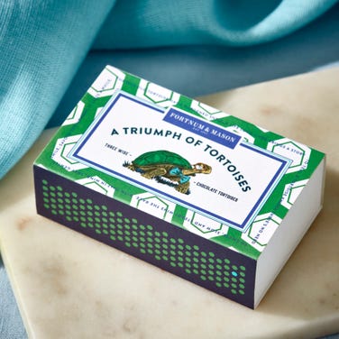 A Triumph of Chocolate Tortoises Matchbox, 25g