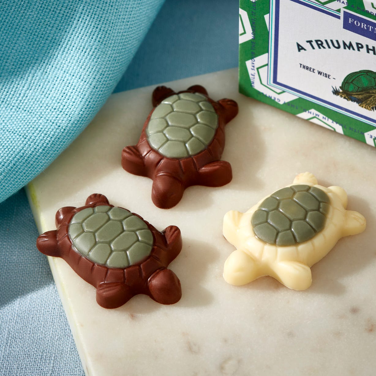 A Triumph of Chocolate Tortoises Matchbox, 25g