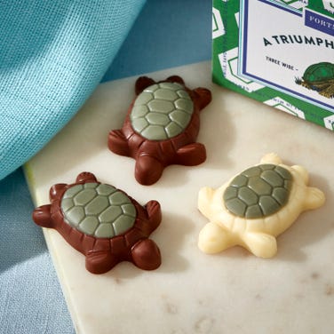 A Triumph of Chocolate Tortoises Matchbox, 25g