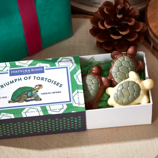 A Triumph of Chocolate Tortoises Matchbox, 25g product image