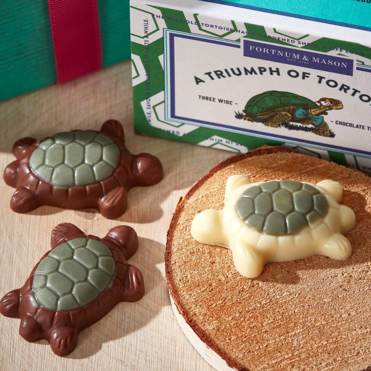 A Triumph of Chocolate Tortoises Matchbox, 25g