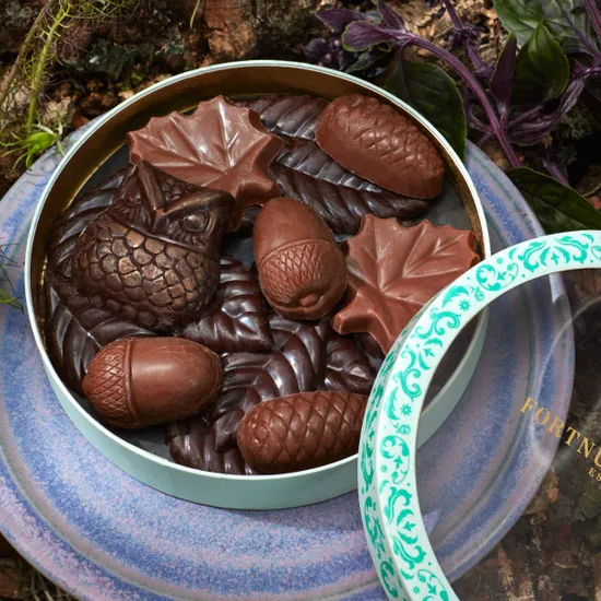 Chocolate Enchanted Forest, 130g product image