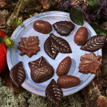 Chocolate Enchanted Forest, 130g