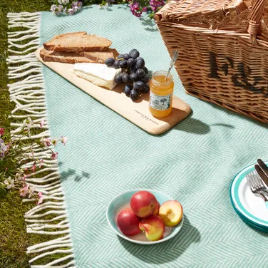 Tweedmill Polo Picnic Blanket, Green