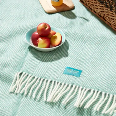 Tweedmill Polo Picnic Blanket, Green