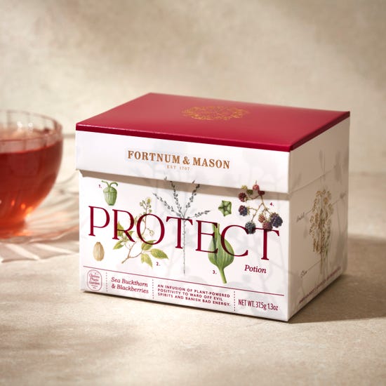 'Protect' Sea Buckthorn & Blackberry Infusion, 15 Silky Tea Bags, 37.5g product image