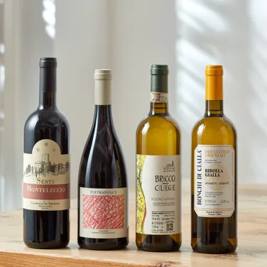 The Intrepid Italian Wine Case
