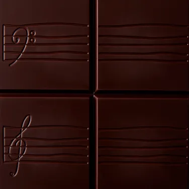 Dark Chocolate Hazelnut Praline Filled Bar, 80g