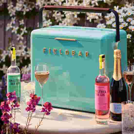 Fieldbar x Fortnum’s Gin Trunk, Eau de Nil product image