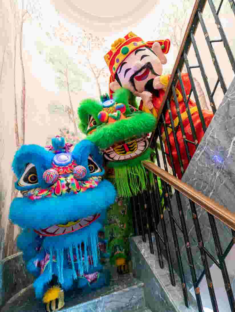 lion and dragon on steps