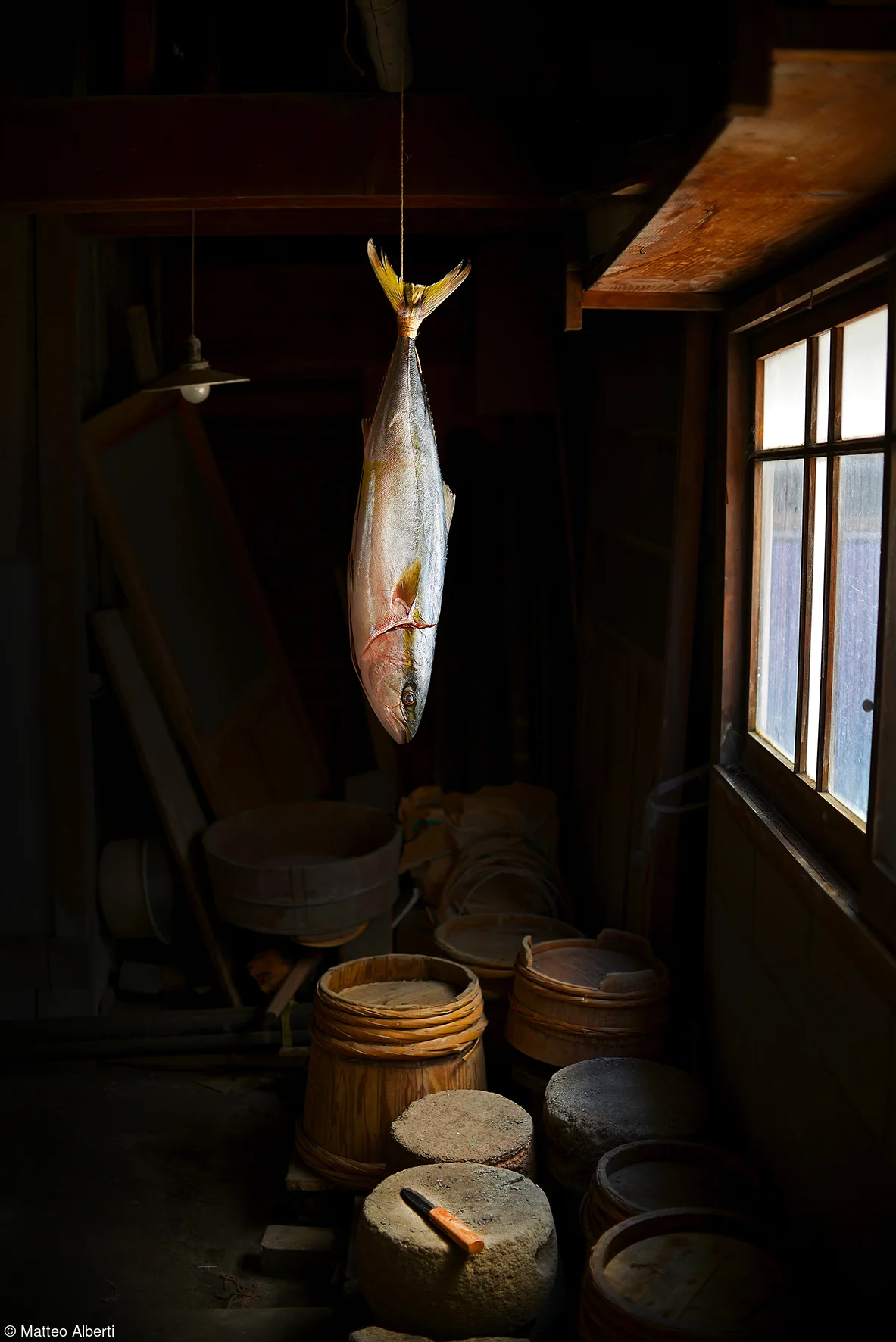 Matteo Alberti | Buri (yellowtail) hanging
