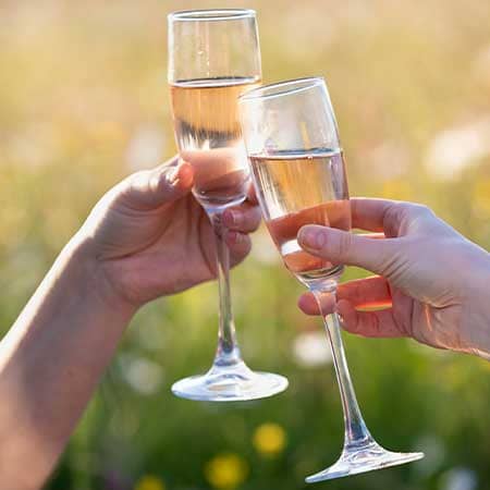 Shop Wine and Spirits perfect for Picnic adventures at Fortnum & Mason Shop Wine and Spirits perfect for Picnic adventures at Fortnum & Mason