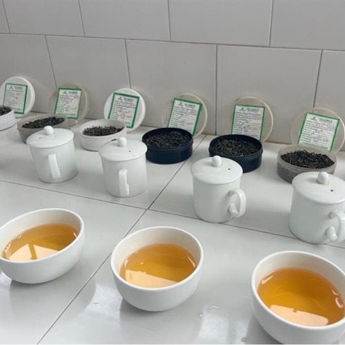 フォートナム&メイソン2022Darjeeling first flush First Flush Darjeeling Tea