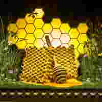 Our Honey-Inspired Summer Windows