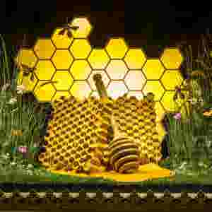 Our Honey-Inspired Summer Windows