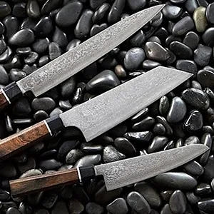 Discover Japanese Knife Mastery