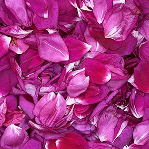 A Showcase of Rose Products