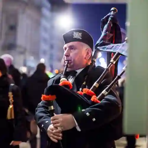 RESOURCEFUL ANIMALS WINDOWS