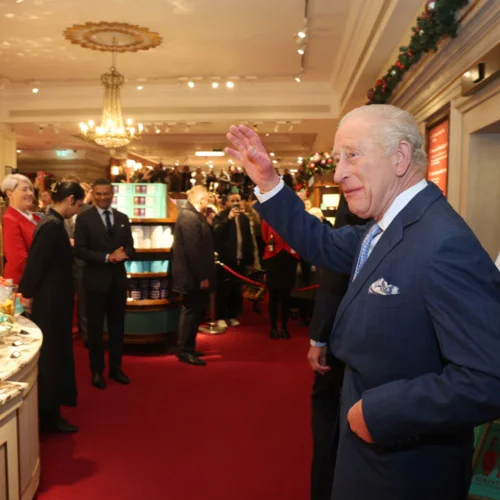 RESOURCEFUL ANIMALS WINDOWS